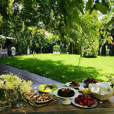 Hotel Vanilla Timişoara Eksteriør billede